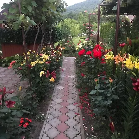 منزل ريفي квітковий двір