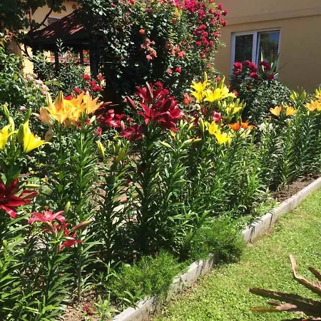 квітковий двір Country house Golubinoye