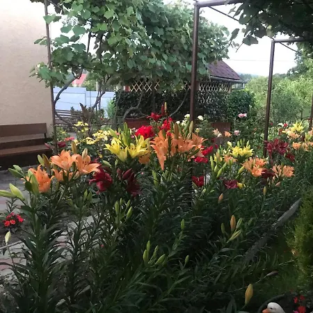 квітковий двір Country house *