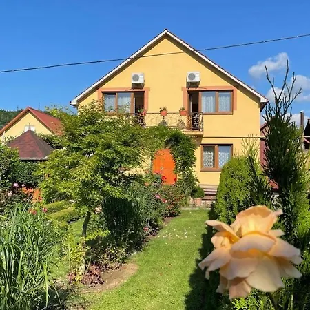 квітковий двір * Golubinoye