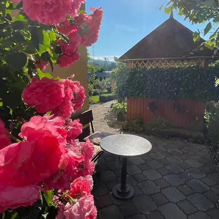 квітковий двір * Golubinoye