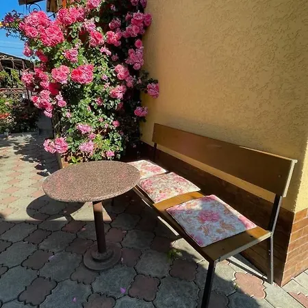 منزل ريفي квітковий двір Golubinoye