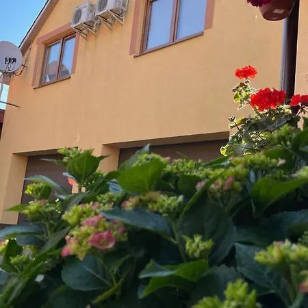 квітковий двір * Golubinoye