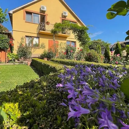 квітковий двір Country house