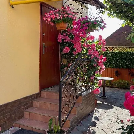 квітковий двір *