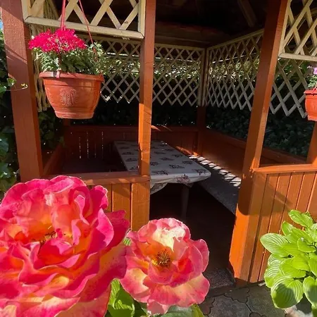 Country house квітковий двір