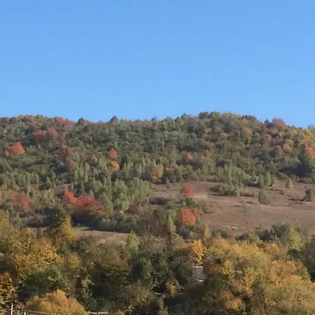 квітковий двір