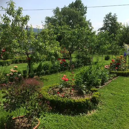 квітковий двір