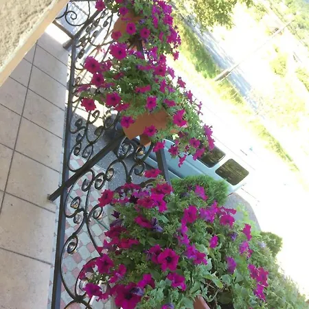 منزل ريفي квітковий двір *