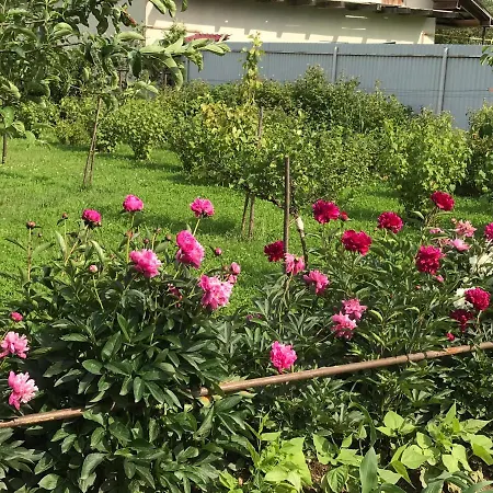 منزل ريفي квітковий двір *