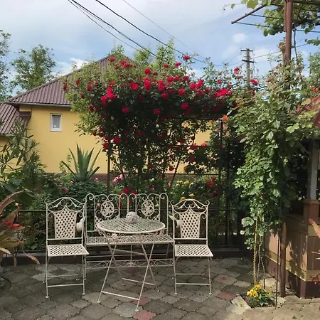 квітковий двір منزل ريفي