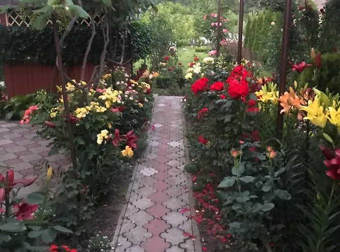 Country house квітковий двір