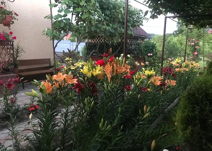квітковий двір Country house *