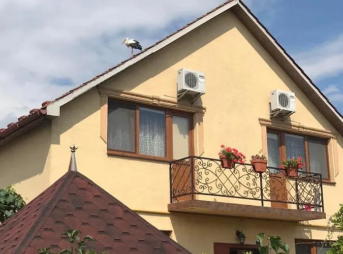 квітковий двір Country house Golubinoye