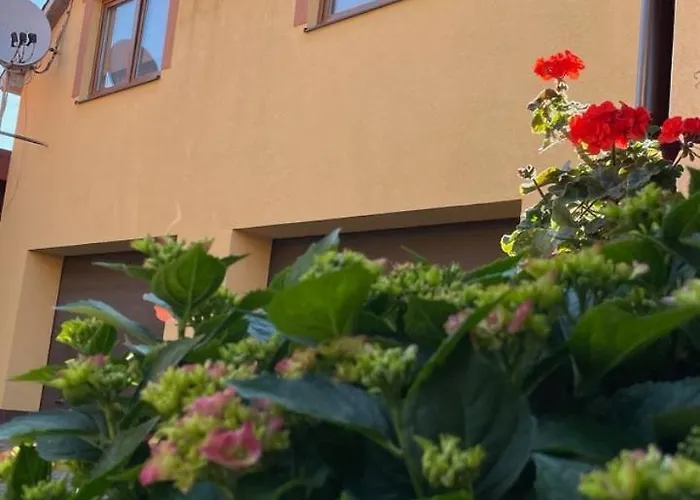 квітковий двір * Golubinoye