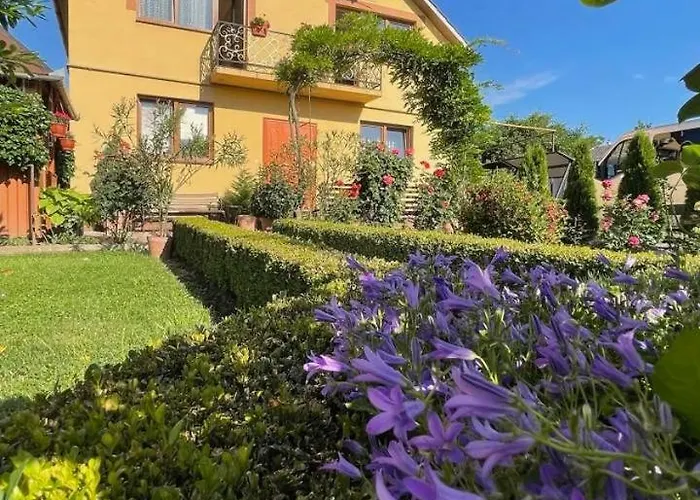квітковий двір Country house
