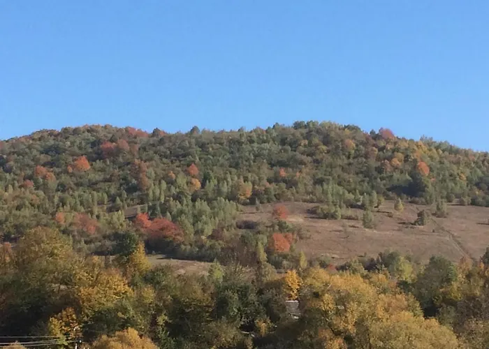 квітковий двір