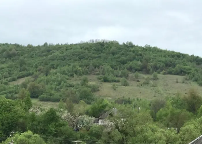 квітковий двір Country house Golubinoye