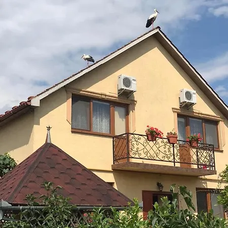 квітковий двір Country house Golubinoye