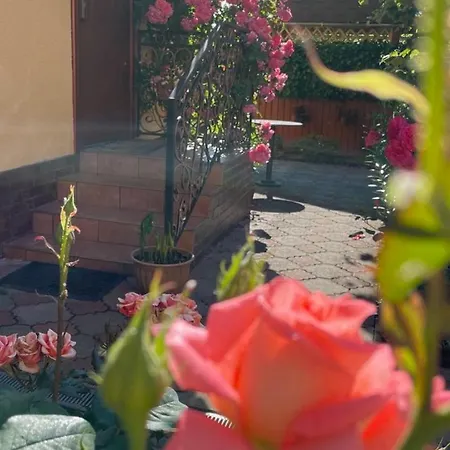 квітковий двір Country house *