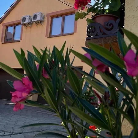 квітковий двір Country house *