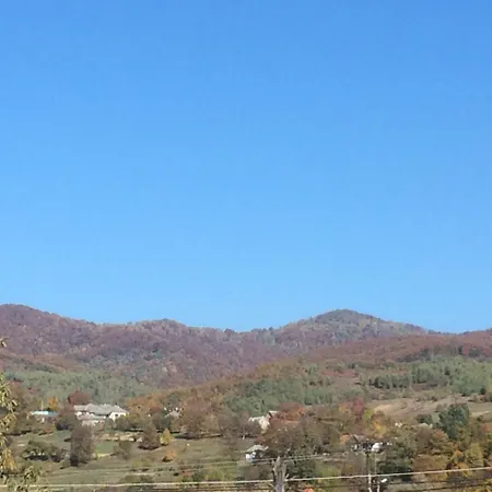 Country house квітковий двір Golubinoye