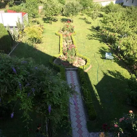 квітковий двір * Golubinoye