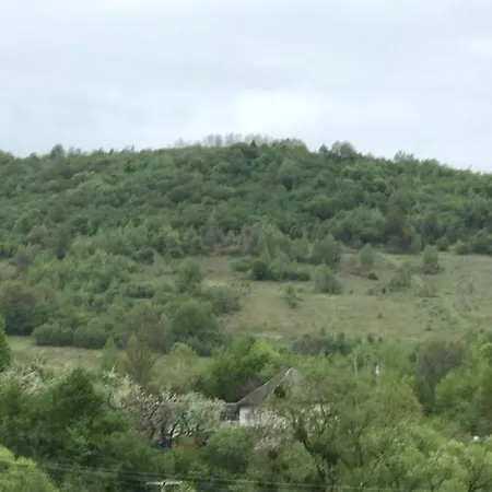 квітковий двір Country house Golubinoye